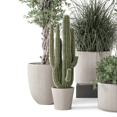 Indoor Plants  in rusty Concrete Pot - Set 1911 — Вид 6
