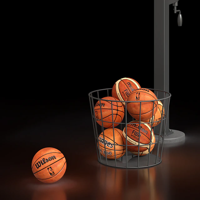 Basketball Hoop Goalrilla — Descargar