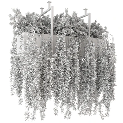 Indoor Hanging Plants in Metal Box - Set 303 — Вид 5