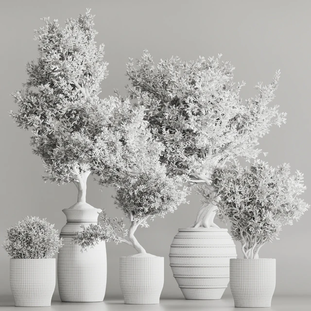 Indoor Plant Set 53 — Descargar