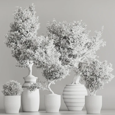 Indoor Plant Set 53 — Ver 7