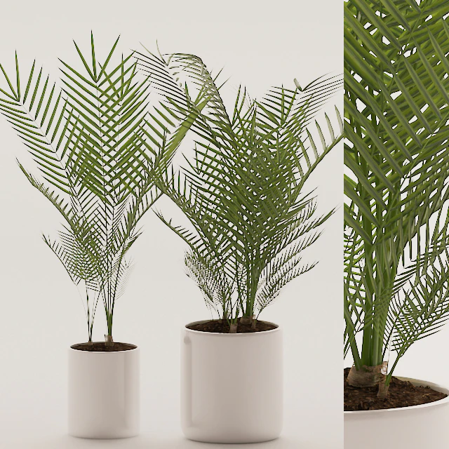Plants 144 — Descargar