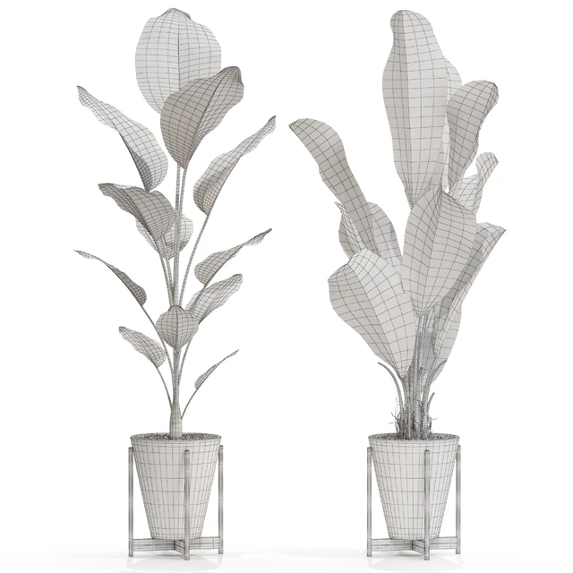 Plants collection 717 — Descargar