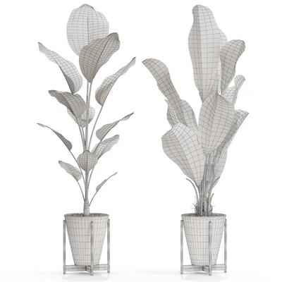 Plants collection 717 — Ver 4