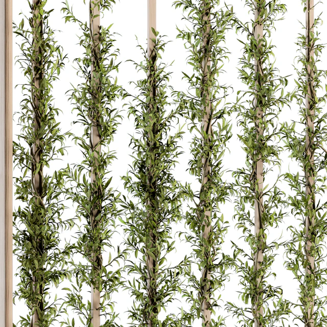 Vertical Garden Wood Frame - Plants Partition 22 — Скачать