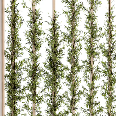 Vertical Garden Wood Frame - Plants Partition 22 — Вид 5