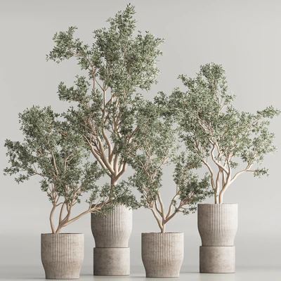 Indoor Plant Set 58 — Ver 6