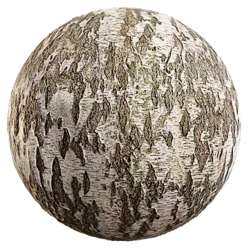 birch bark 004 — Скачать
