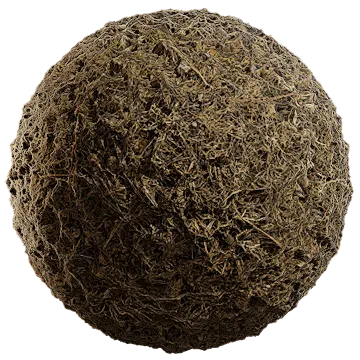 grass dried 045 — Descargar