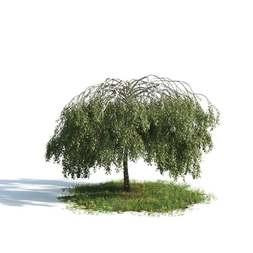 trees 008 — Скачать