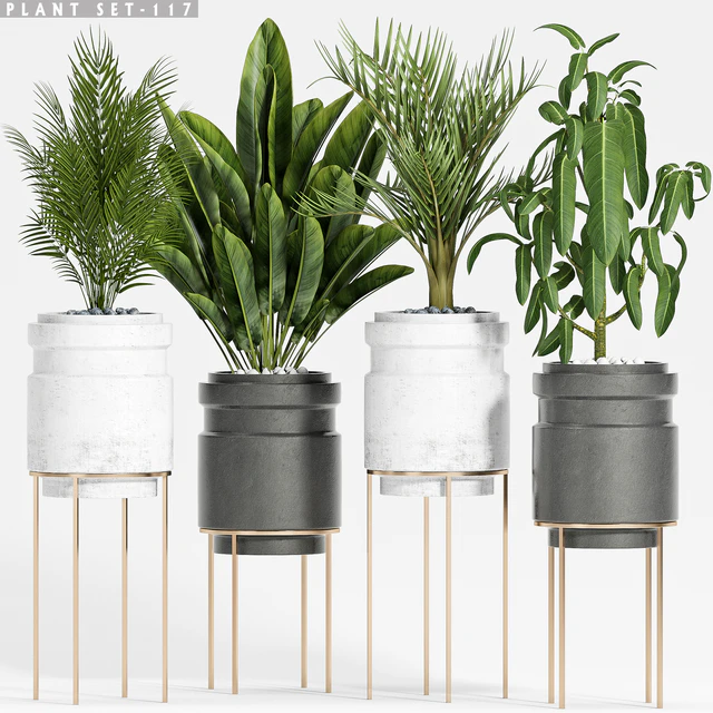 plant set-117 — Descargar