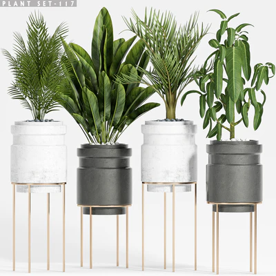 plant set-117 — Ver 1
