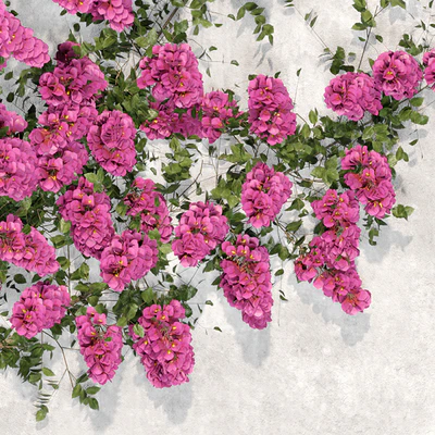 Bougainvillea plant 02 — Ver 4