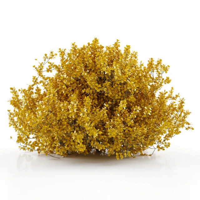 plant  28 — Скачать