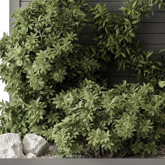 Outdoor Plant Set 429- Ivy on Wall — Descargar