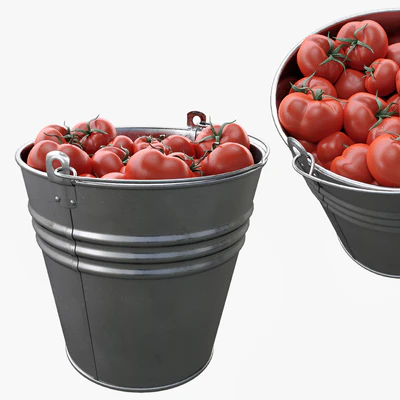 Bucket with tomatoes — Ver 1