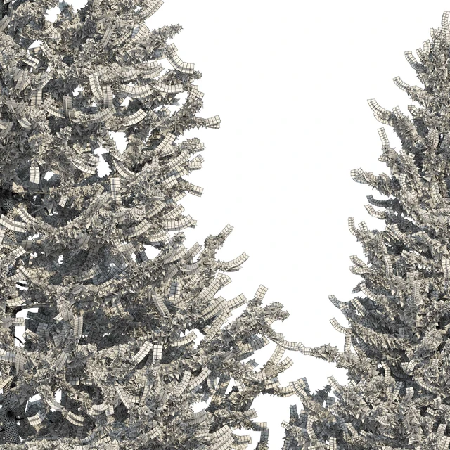 European larch 2 (Larix decidua 2) — Descargar