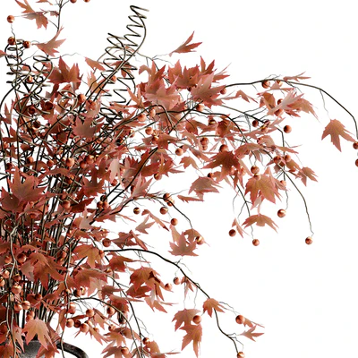 Red Maple Bouquet 04 — Ver 5