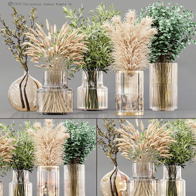 Collection Indoor Plants 02 — View 1