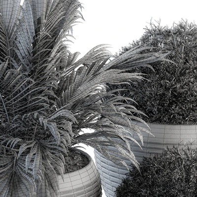Outdoor Plants tree in Concrete Pot - Set 104 — Вид 5
