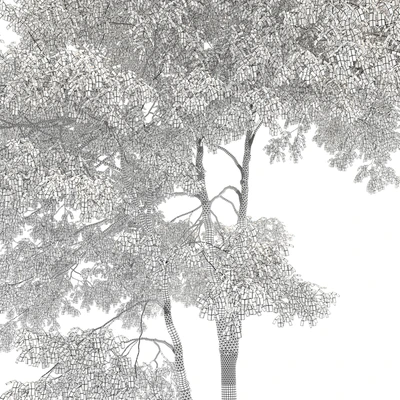 Autumn hornbeam tree 02 — Вид 5