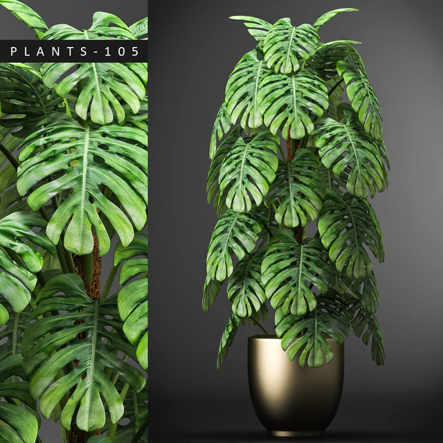 PLANTS 105 — Скачать