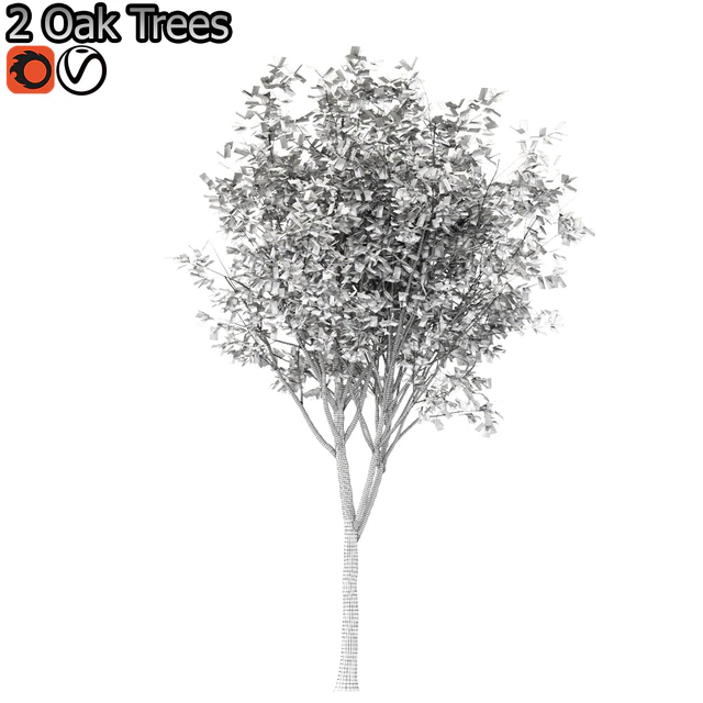 Set of Korean Oak and simple Oak Trees — Descargar
