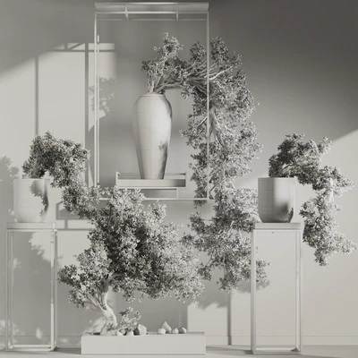 Bonsai and Indoor Plant Set 38 — Вид 6