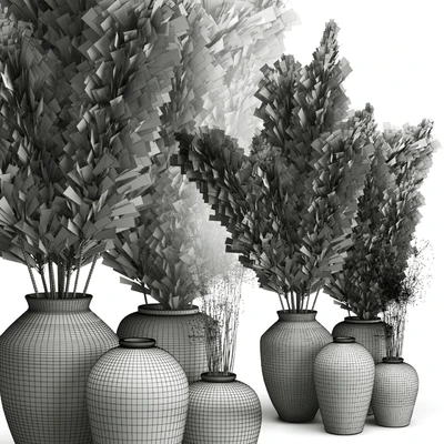 Decorative set of Clay Vases and Pampas Grass — Ver 4