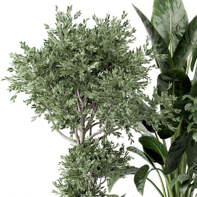 Indoor Plants  in rusty Concrete Pot - Set 584 — Скачать