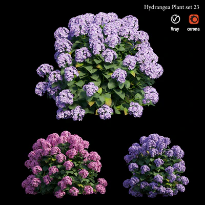 Hydrangea Plant set 23 — Вид 5