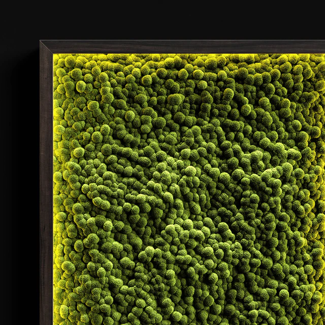 Vertical gardens — Descargar