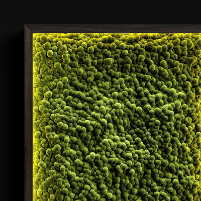 Vertical gardens — Ver 2