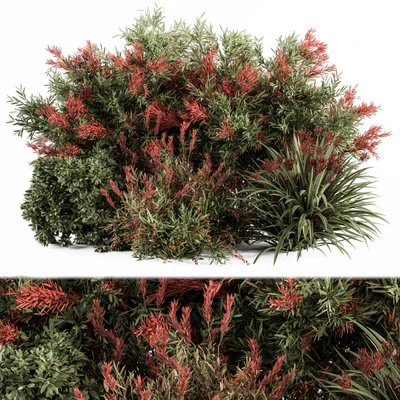 Mixed Plant Bush Green and Red - Bush Set 51 — Вид 1