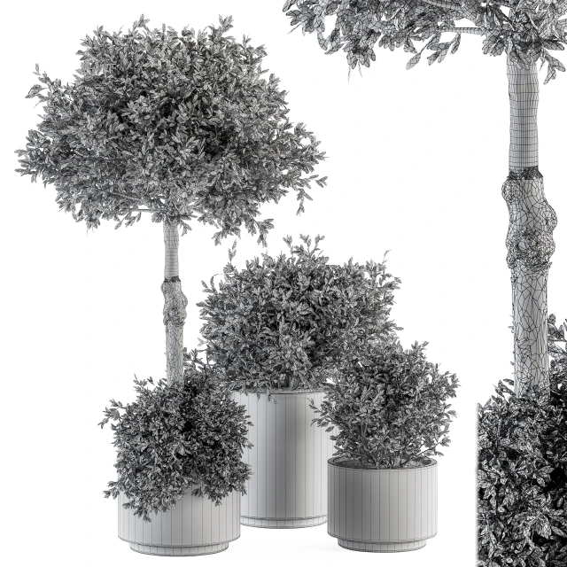 Outdoor Plant Set 282 - Plant and Tree Set in Ceramic Pot — Descargar