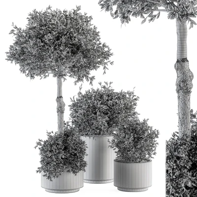 Outdoor Plant Set 282 - Plant and Tree Set in Ceramic Pot — Ver 4