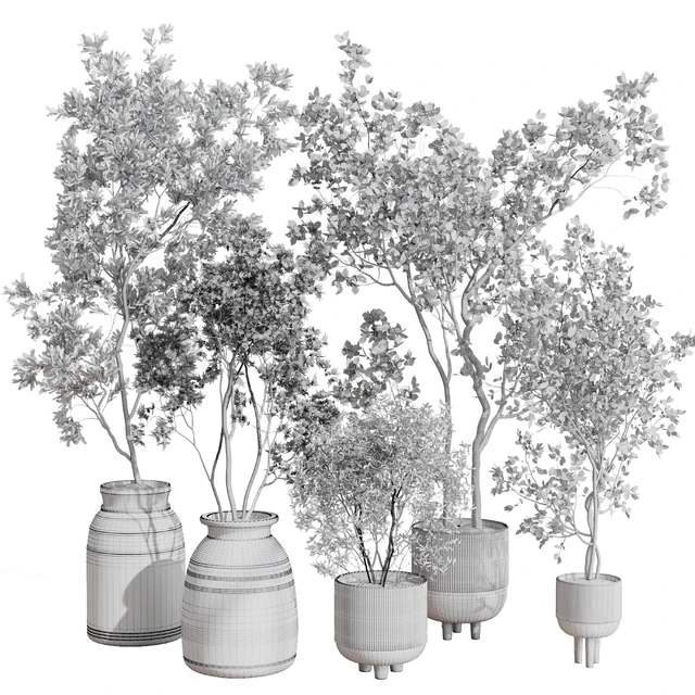 collection indoor plant 456 wooden old and concrete vase — Descargar