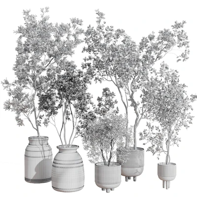 collection indoor plant 456 wooden old and concrete vase — Ver 4