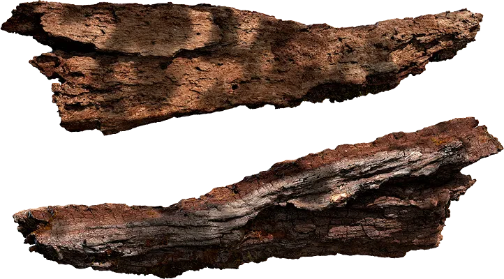 chunky wood branch 001 — Descargar