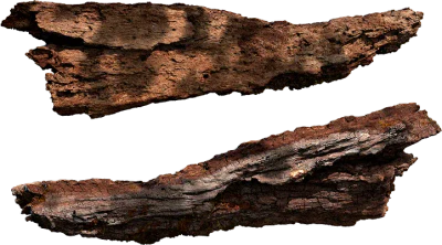 chunky wood branch 001 — Descargar