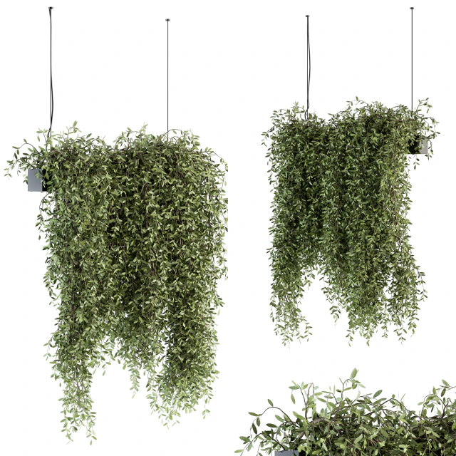 indoor Plant Set 287 - Hanging Plants — Descargar