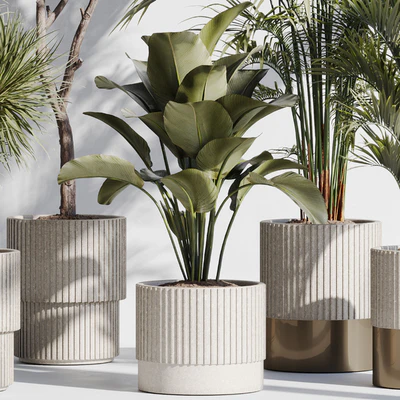 indoor plant set 78 — Ver 4