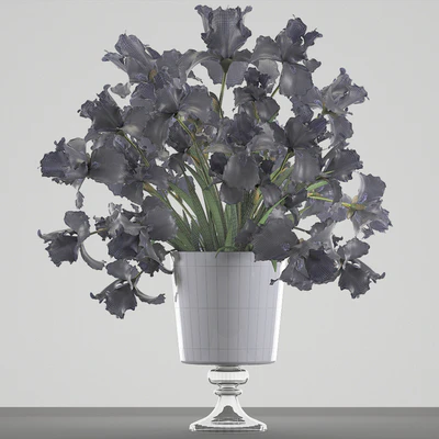 Collection of flowers 46. Black Irises. Black Irises, vase, table decor, luxury — Ver 3