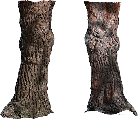 tree stump 002 — Descargar