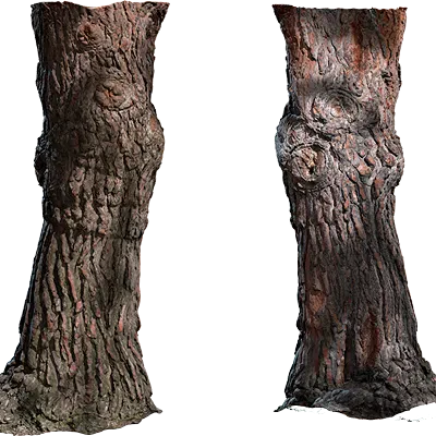 tree stump 002 — Descargar