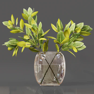 Collaction Indoor Plants 06 — Вид 6