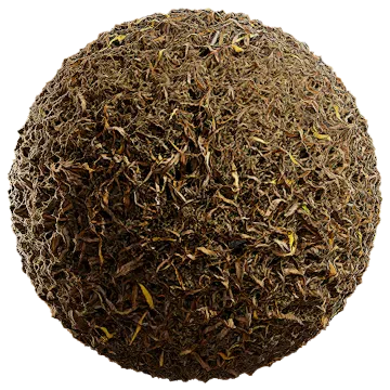 dried leaves and grass 001 — Descargar