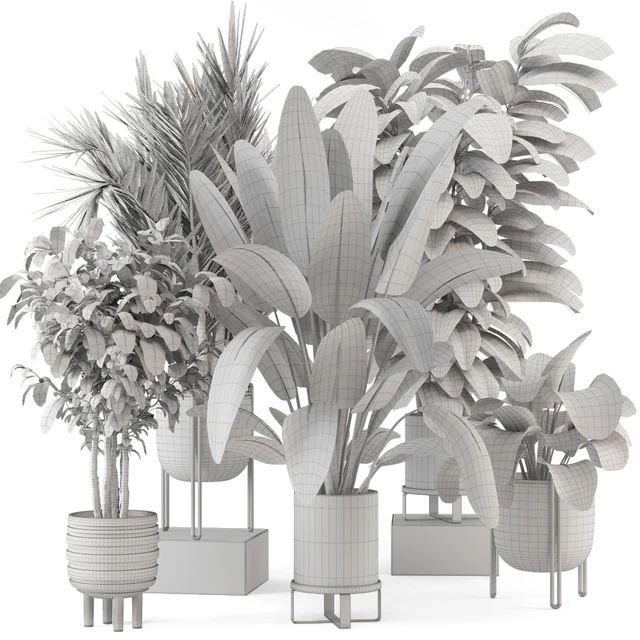 Indoor Plants in Ferm Living Bau Pot Large - Set 879 — Descargar