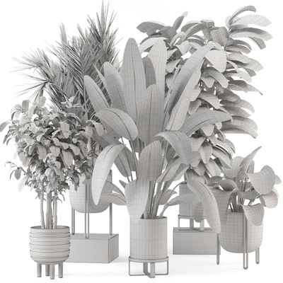 Indoor Plants in Ferm Living Bau Pot Large - Set 879 — Ver 5