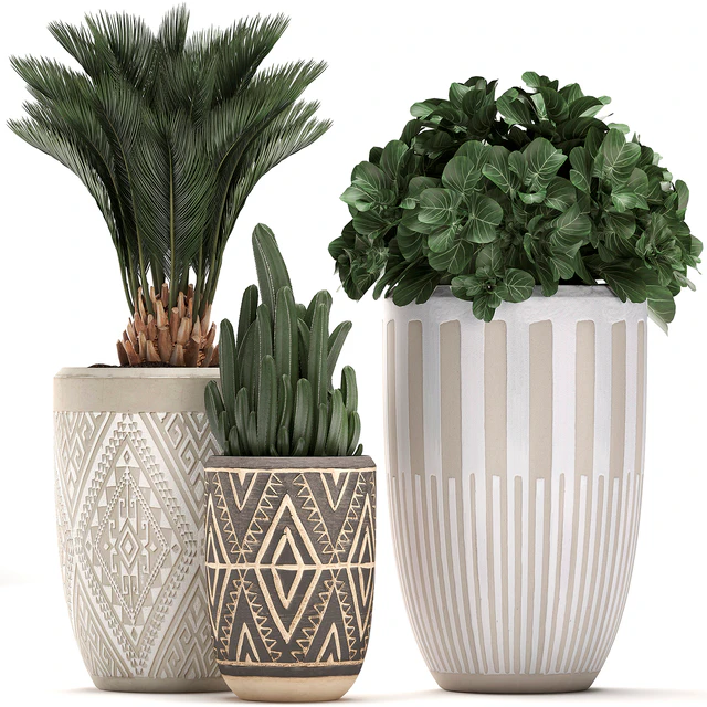 Collection of small plants in ethnic aged pots with Cactus, Date palm, flower. Set 476. — Descargar